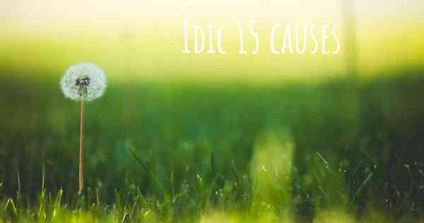 Idic 15 causes