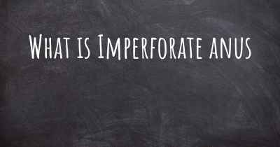What is Imperforate anus