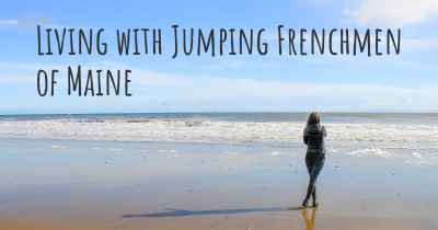 Living with Jumping Frenchmen of Maine