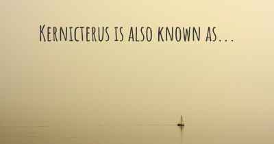 Kernicterus is also known as...