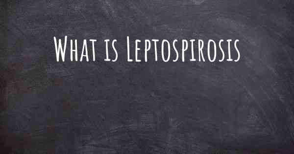 What is Leptospirosis