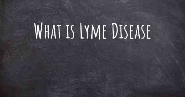 What is Lyme Disease