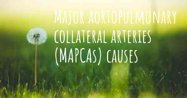 Major aortopulmonary collateral arteries (MAPCAs) causes