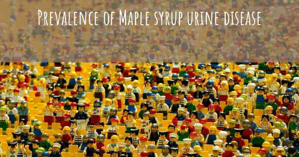 Prevalence of Maple syrup urine disease