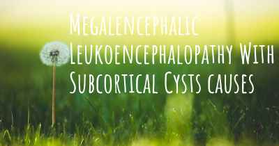 Megalencephalic Leukoencephalopathy With Subcortical Cysts causes