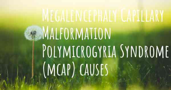 Megalencephaly Capillary Malformation Polymicrogyria Syndrome (mcap) causes