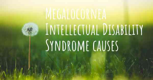 Megalocornea Intellectual Disability Syndrome causes