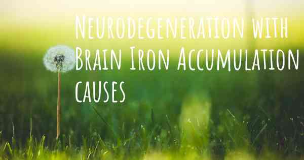Neurodegeneration with Brain Iron Accumulation causes