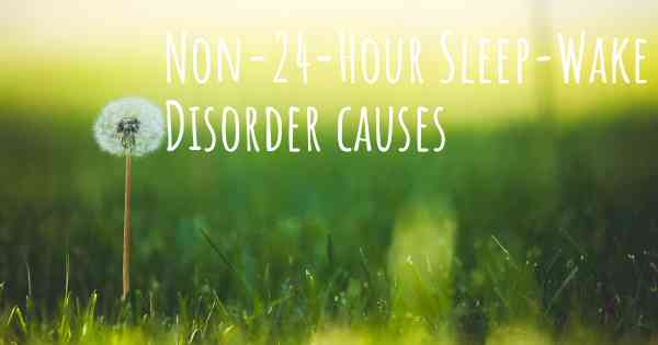 Non-24-Hour Sleep-Wake Disorder causes