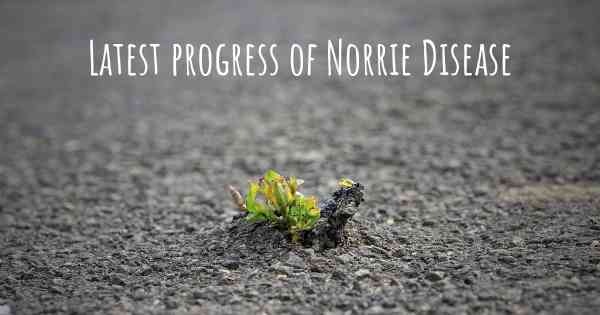 Latest progress of Norrie Disease