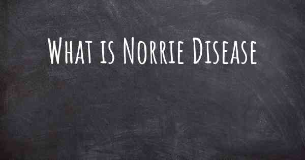 What is Norrie Disease
