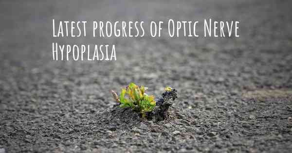 Latest progress of Optic Nerve Hypoplasia