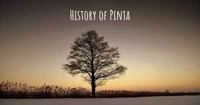 History of Pinta