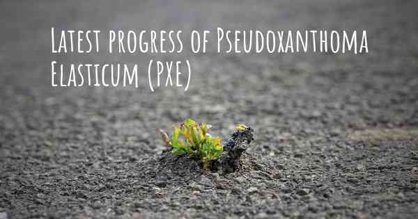 Latest progress of Pseudoxanthoma Elasticum (PXE)