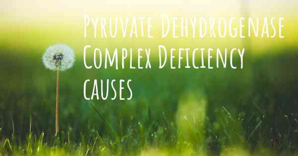 Pyruvate Dehydrogenase Complex Deficiency causes