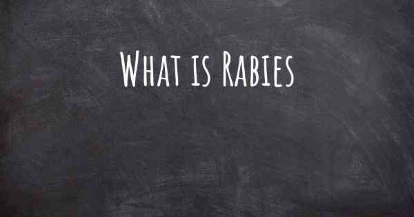 What is Rabies