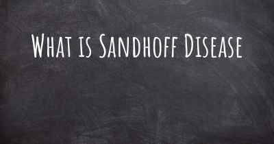 What is Sandhoff Disease