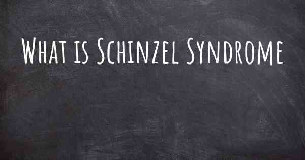 What is Schinzel Syndrome