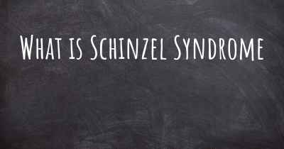What is Schinzel Syndrome
