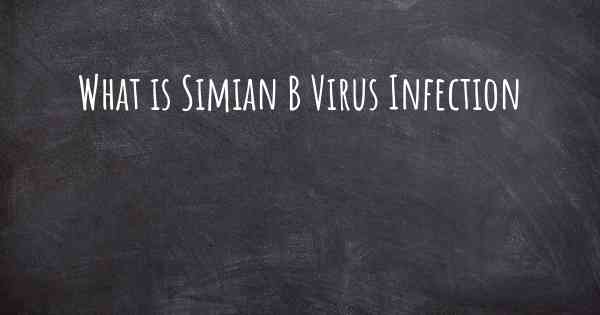 What is Simian B Virus Infection