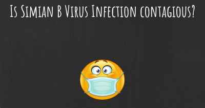 Is Simian B Virus Infection contagious?