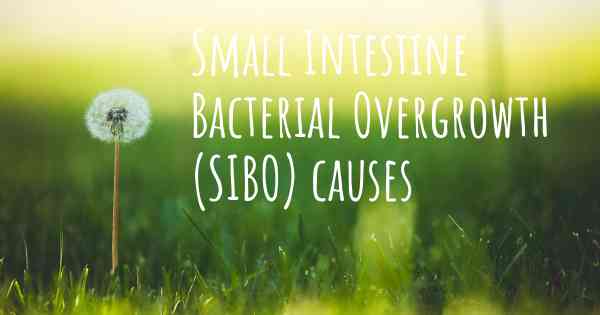 Small Intestine Bacterial Overgrowth (SIBO) causes