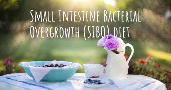 Small Intestine Bacterial Overgrowth (SIBO) diet