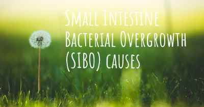 Small Intestine Bacterial Overgrowth (SIBO) causes
