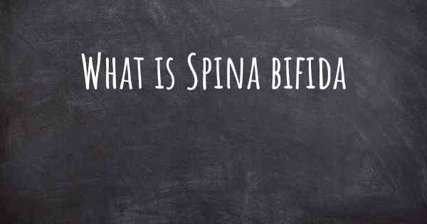 What is Spina bifida