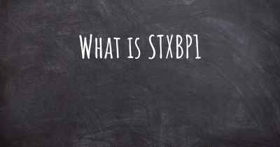 What is STXBP1