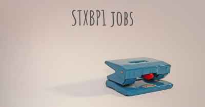 STXBP1 jobs