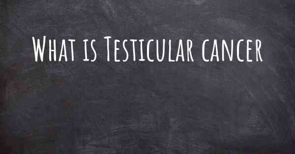 What is Testicular cancer