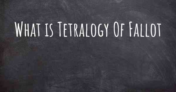 What is Tetralogy Of Fallot