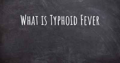 What is Typhoid Fever