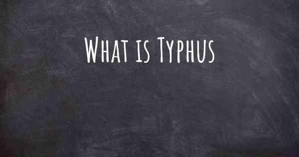 What is Typhus