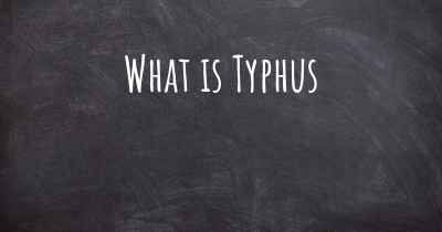 What is Typhus