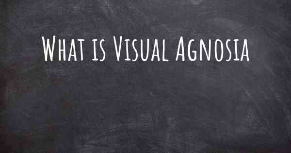 What is Visual Agnosia