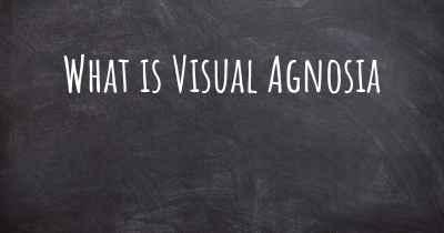 What is Visual Agnosia