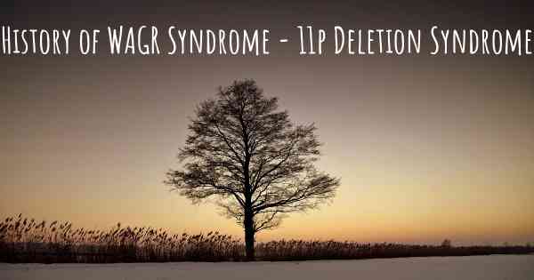History of WAGR Syndrome - 11p Deletion Syndrome