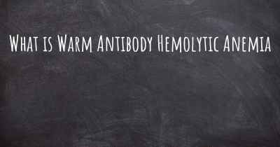 What is Warm Antibody Hemolytic Anemia