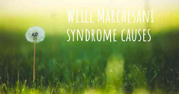 Weill Marchesani syndrome causes