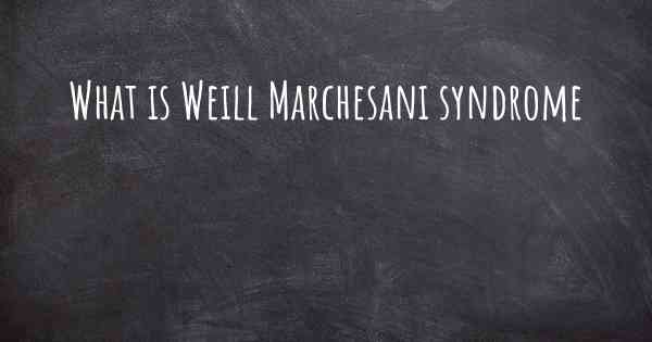 What is Weill Marchesani syndrome