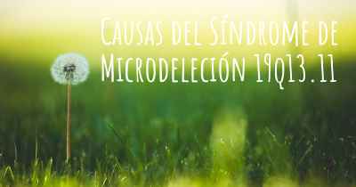 Causas del Síndrome de Microdeleción 19q13.11