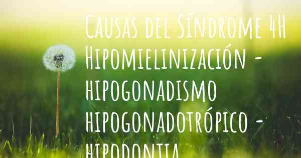Causas del Síndrome 4H Hipomielinización - hipogonadismo hipogonadotrópico - hipodontia