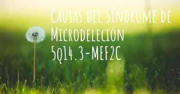 Causas del Síndrome de Microdeleción 5q14.3-MEF2C