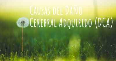 Causas del Daño Cerebral Adquirido (DCA)