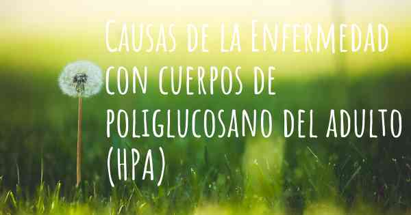 Causas de la Enfermedad con cuerpos de poliglucosano del adulto (HPA)