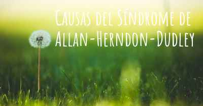 Causas del Síndrome de Allan-Herndon-Dudley