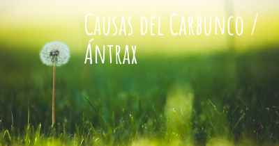 Causas del Carbunco / Ántrax