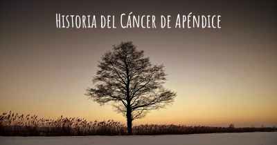 Historia del Cáncer de Apéndice